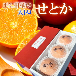 せとか 匠と極 3玉 贈答用 愛媛県 中島産 みかん JAえひめ中央 ミカン ギフト プレゼント 御礼 御祝 御供 果物 くだもの フルーツ 【岡山果物工房】1玉ずつ丁寧にお包みしております