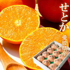 https://thumbnail.image.rakuten.co.jp/@0_mall/okayama-koubou/cabinet/mikan/setoka/setokatakumi3-01.jpg