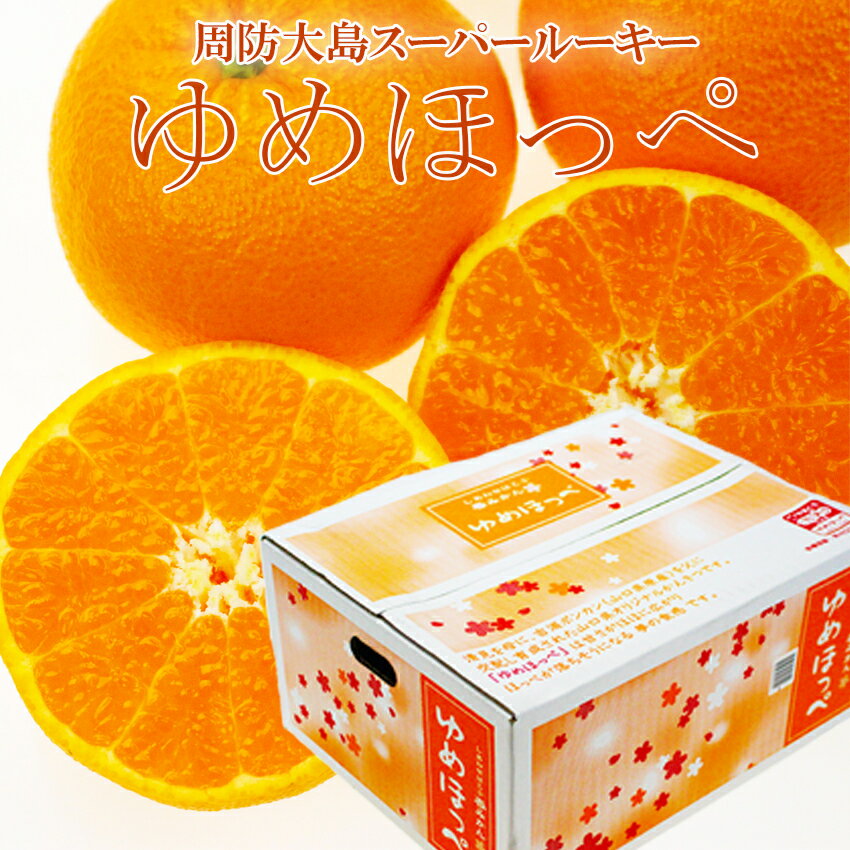 ゆめほっぺ （ せとみ ）秀品M-2Lサイズ 約5kg 山口県周防大島産 ギフト みかん 卒業 入学 お祝い 御礼 御祝 果物 フルーツ 【岡山果物工房】【あす楽】のサムネイル