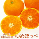 みかん ゆめほっぺ 訳あり 約2.5kg 大きさおまかせ 簡易包装 家庭用 山口県周防大島産 スレ・傷・ヤケあり フルーツ 【岡山果物工房】