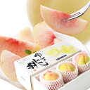2025 お中元 ギフト 岡山 白桃 中玉 3玉入り 約800g 秀品 贈答用 桃 御中元 ギフト 御礼 プレゼント 御礼 御祝 御供 果物 くだもの フルーツ...