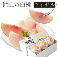 岡山 白桃 贈答用 中玉 3玉入り 約800g ロイヤル 秀品 桃 ギフト 夏ギフト 秋ギフトプレゼント 【岡山果物工房】※日付指定不可