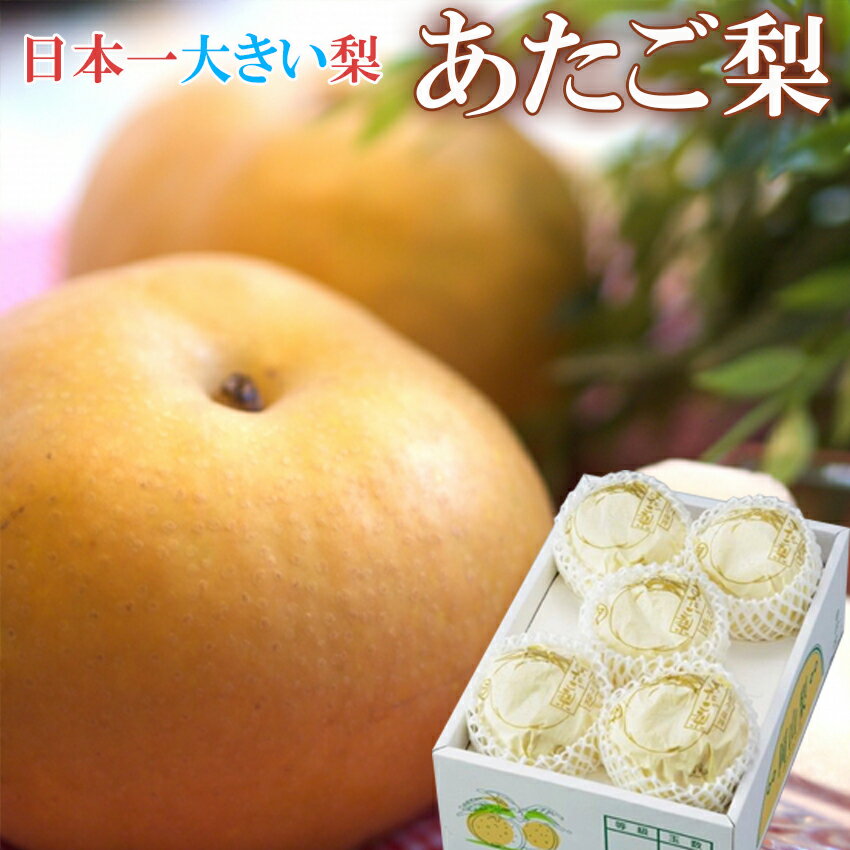在庫SALE 2022 御歳暮ギフト 岡山県産 あたご梨 ロイヤル 5-6玉 大玉4.0kg 贈答用 お歳暮 ギフト 梨 愛宕梨 スイーツ 御礼 御祝 フルーツ プレゼント【岡山果物工房】12月上旬頃より発送のサムネイル