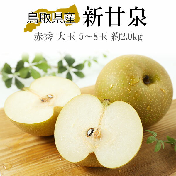 梨 新甘泉 しんかんせん 赤秀 5〜8玉 約2kg 贈答用 ギフト プレゼント 御礼 御祝 御供 果物 くだもの フルーツ 【岡山果物工房】のサムネイル