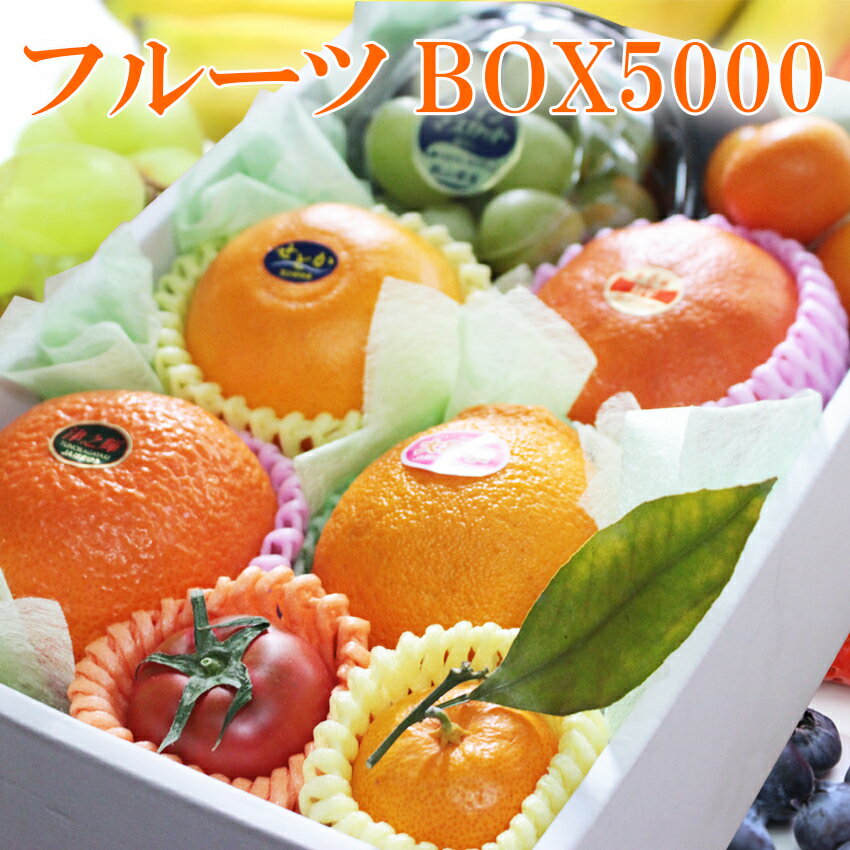 フルーツBOX5000 季節フルーツ 詰め合わせ 画像送信サービス付き 贈答用 ギフト プレゼント 贈り物 御礼 御祝 内祝 御供 くだもの フルーツ 【岡山果物工房】 あす楽 日にち指定OK