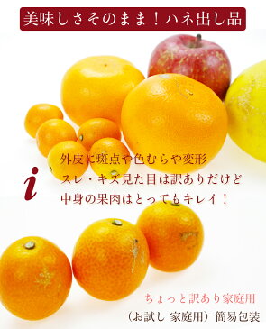 完熟きんかん たまたま 3kg 訳あり L-3Lサイズ 家庭用 キズ、スレあり 送料無料 【岡山果物工房】【2月上旬より発送】