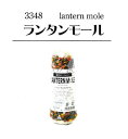 リッチモア ランタンモール 新発売