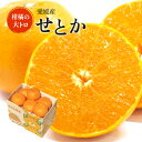 送料無料 愛媛産 せとか わけあり サイズおまかせ 1.5キロ 幻の柑橘 プレゼント ギフト 愛媛県 みかん ミカン 蜜柑 贈答用 1.5kg 高級 贈答 わけ...