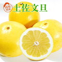 送料無料 高知産 文旦 わけあり 10キロ 4L 土佐ぶんたん ぶんたん ギフト 贈り物 お供え 家庭用 バレンタイン ホワイトデー 訳あり