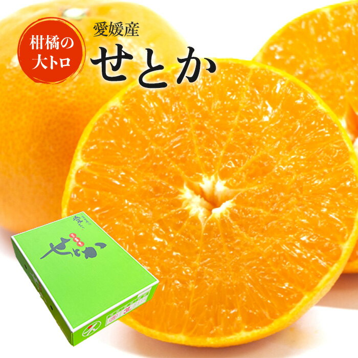 送料無料 愛媛産 せとか 赤秀 4L-3L 3キロ 化粧箱入り 幻の柑橘 プレゼント ギフト 愛媛県 みかん ミカン 蜜柑 贈答用 高級 贈答