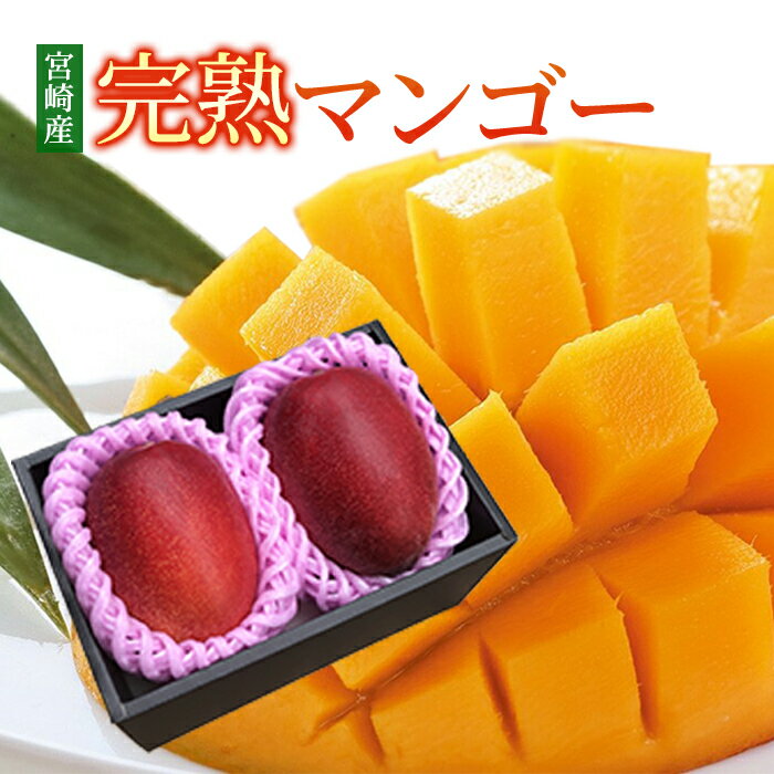 【100円offクーポン配布中】送料無料 マンゴー 宮崎産 完塾マンゴー 秀品 大玉 4Lサイズ 2玉入り ギフト 母の日 訳あり プレゼント ギフト 実用的 父の日ギフトのサムネイル
