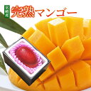 送料無料 マンゴー 宮崎産 完熟マンゴー 秀品 Lサイズ 1玉入り ギフト 母の日 訳あり プレゼント ギフト 実用的 父の日ギフト