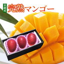 マンゴー 送料無料 宮崎産 完熟マンゴー 赤秀 2Lサイズ 3玉入り マンゴー ギフト 母の日 プレゼント ギフト 実用的 父の日ギフト