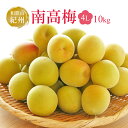 送料無料 紀州 和歌山産 南高梅 秀品 4L 約10kg プレゼント ギフト 実用的 父の日ギフト
