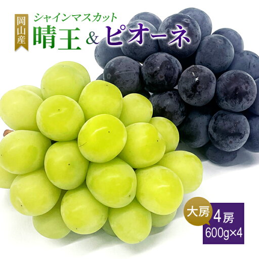 送料無料 岡山産 シャインマスカット晴王 ピオーネ 青秀 大房600グラム4房入 ぶどう プレゼント お祝い ギフト 送料無料 岡山産 シャインマスカット晴王 ピオーネ 青秀 大房600グラム4房入 ぶどう プレゼント お祝い ギフト