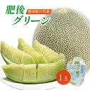 送料無料 熊本産 肥後グリーン 秀品 1玉 2キロ メロン 肥後グリーンメロン 内祝い お供え ギフト プレゼント 母の日 高糖度 濃厚 メロン 甘い