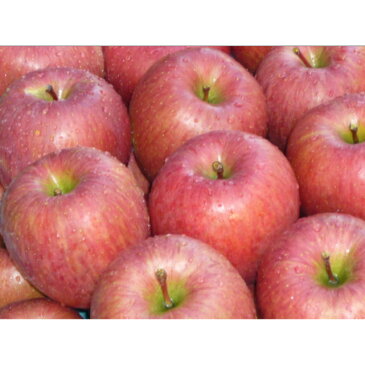 青森産 サンフジ 1.5kg(4-6玉入り) 送料無料