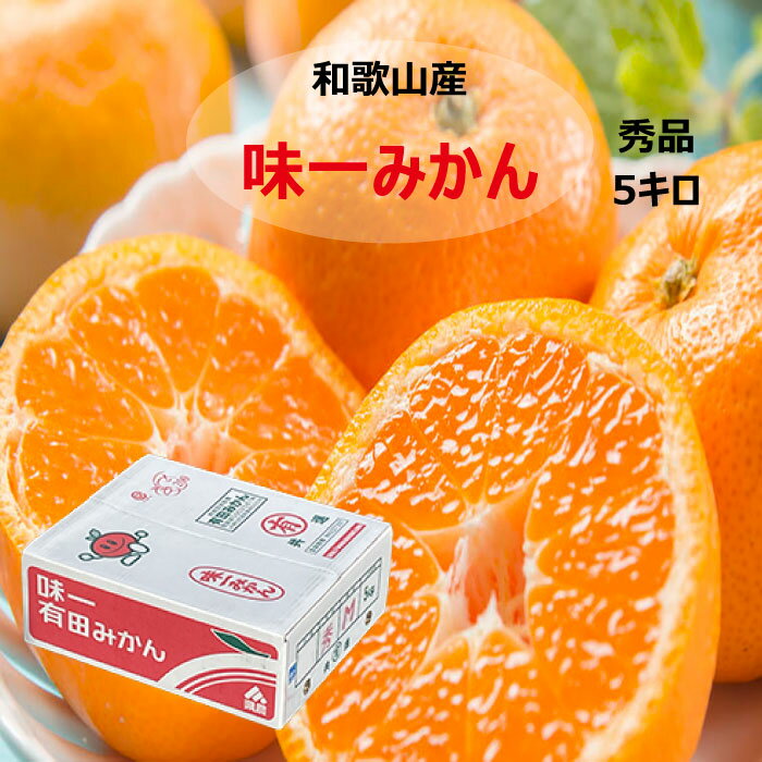 和歌山産 味一有田みかん 5キロ サイズお任せ 送料無料 お歳暮 ギフト プレゼント クリスマス 高糖度 福袋 お正月