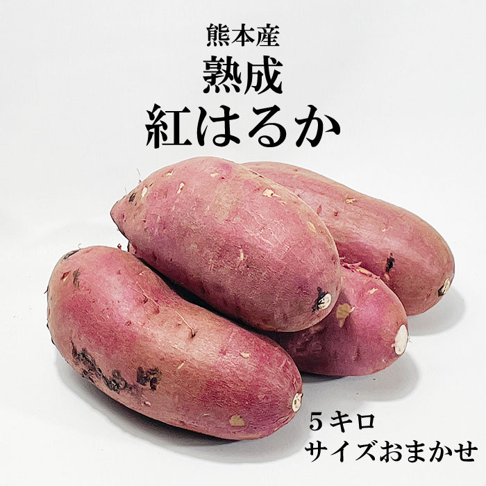 送料無料 熊本産 さつまいも 紅はるか 5kg 2LLMSサイズ サイズおまかせ べにはるか 蜜芋 焼き芋 最高級 干し芋 プレゼント ギフト 贈答