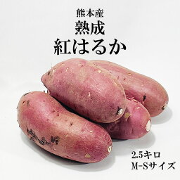 送料無料 熊本産 さつまいも 紅はるか 2.5k M-Sサイズ べにはるか 蜜芋 焼き芋 最高級 干し芋 プレゼント ギフト 贈答