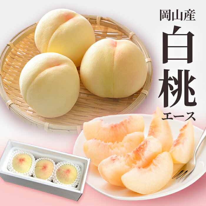 送料無料 岡山産 白桃 エース 約900g 