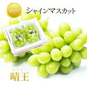 ぶどう 【100円offクーポン配布中】送料無料 岡山産 シャインマスカット 晴王 優品2房 1kg ぶどう ギフト お供え プレゼント 贈り物 お土産 シャインマスカット晴王 福袋 お正月