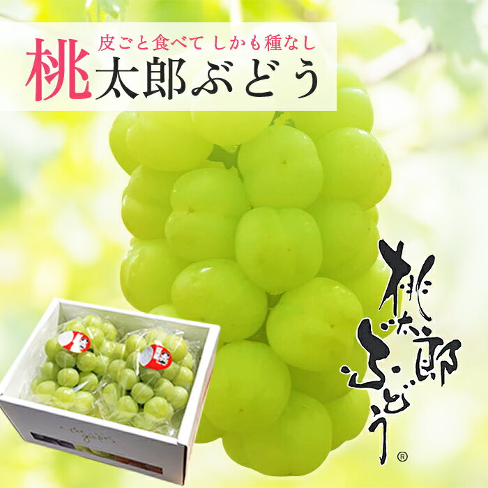 【ふるさと納税】ぶどう 2024年 先行予約 ニュー ピオーネ 約1.8kg 3～5房 減農薬栽培 ブドウ 葡萄 岡山県産 国産 フルーツ 果物 ギフト ばんの農園　【 種なし 岡山 種無しぶどう 減農薬 果物類 爽やか 酸味 コク 】　お届け：2024年9月上旬～2024年10月上旬