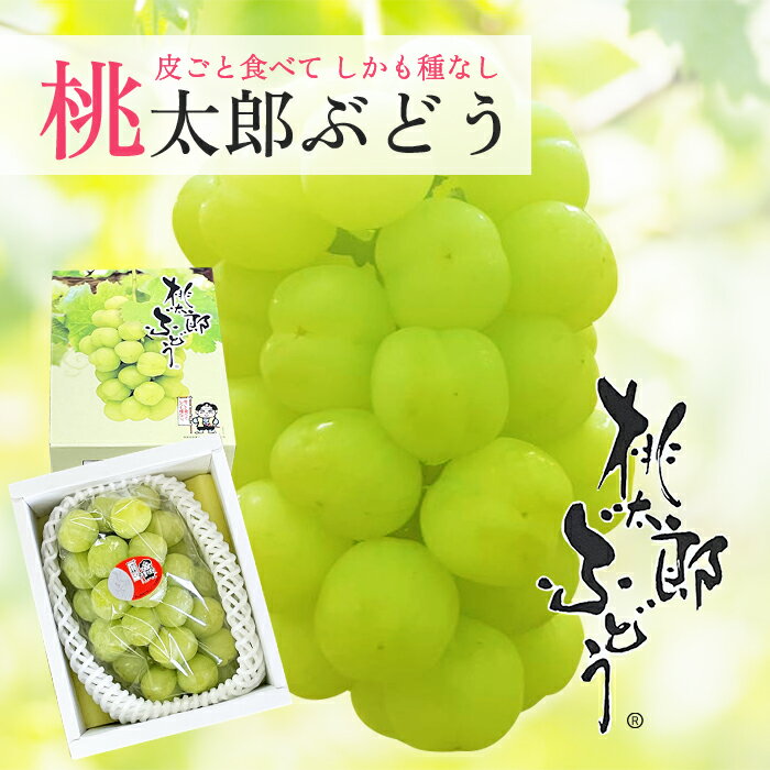 ぶどう 送料無料 桃太郎ぶどう 赤秀900〜1000g 1房 ぶどう マスカット 瀬戸ジャイアンツ ギフト 贈り物