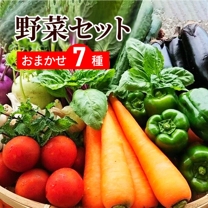 送料無料 野菜セット 7品セット おまかせ野菜セット 野菜詰め合わせ お試し野菜セット 野菜セット 野菜宅配 西日本野菜セット フードロス バレンタイン 岡山 複袋 福袋 送料込 プレゼント ギフト 実用的 父の日ギフト 福袋 お正月