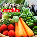 送料無料 野菜セット 7品セット おまかせ野菜セット 野菜詰め合わせ お試し野菜