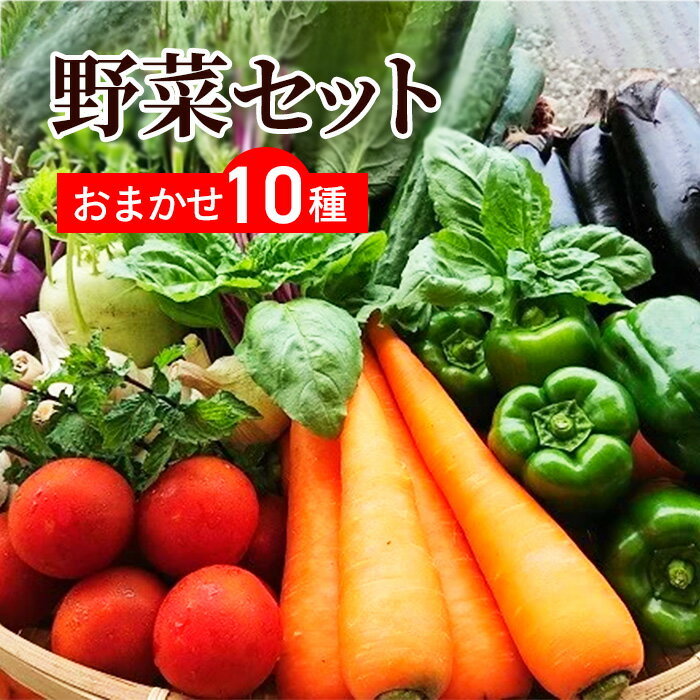 送料無料 野菜セット 10品セット おまかせ野菜セット 野菜詰め合わせ お試し野菜セット 西日本野菜セット フードロス…