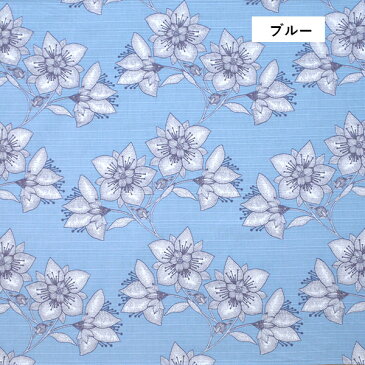 コトノワ×ヘイニ・リータフフタ 綿風呂敷 Rauha(ラウハ) 約50cm【コトノワ風呂敷】ポップ モダン エコバッグ フィンランディア バッグ 弁当箱 テーブルクロス キッチン 食卓 ランチ