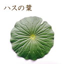 秀〆 お盆用品 お盆飾り 初盆 新盆 仏花 はす 蓮ハスの葉 仏壇 盆棚 お墓 ご自宅 マンション