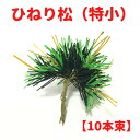 秀〆 正月飾り 材料 10本束 ひねり松(特小)【10本束】 パーツ 素材 ハンドメイド アレンジ 手作り しめ飾り しめ縄