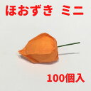 秀〆 お盆用品 お盆飾り 初盆 新盆 仏花 100個入り ほおずき ミニ 仏壇 盆棚 お墓 ご自宅 マンション