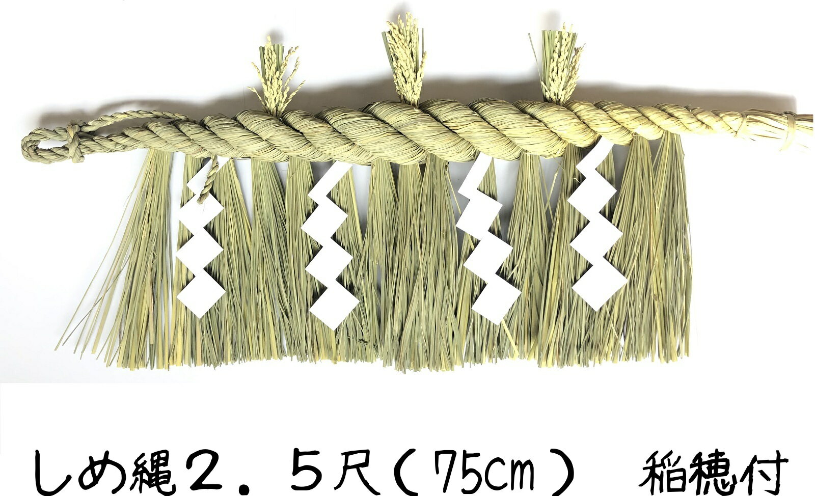 商品名 【新潟】 しめ縄 2．5尺（75cm） 商品情報 ★日本製 稲わら（本体）・稲穂・紙 ※稲わらは台湾製、稲穂は国産、組み立て製造は日本（栃木） サイズ 30cm × 75cm （縦×横） 手作りのため、サイズに誤差が生じる場合がございます。ご了承ください。 お届け期間 ★生（本物の橙・裏白・ゆずり葉など）を使用した商品と同時にご注文いただいたお客様へ★ 上記商品と同梱させていただきますので、12/20頃より順次出荷させていただきます。 別々でのご配送をご希望の方は、その旨をご注文時のご希望欄に記載頂きますようお願い致します。 注意点 ◎燃えやすい材料を使用しておりますので、高温になる場所には飾らないでください ◎天然素材を使用しておりますので、多湿な場所での保管はカビや虫の発生の原因となります ◎商品に針金などを使用しているため、お取扱の際はケガ等に十分ご注意ください 関連ワード:お正月 正月 正月飾り しめ縄 門松 しめ縄飾り しめ飾り 注連縄 七五三縄 しめなわ おしゃれ かわいい 洋風 豪華 北欧 北欧系 シンプル シンプルナチュラル モダン 和モダン フレンチモダン カラー キット タッセル ピック 門松 販売 特大 一対 竹 ミニ 小サイズ リース 手作り 材料 パーツ 素材 花材 雑貨 ハンドメイド アレンジ フラワーアレンジ 水引 造花 花 ドア 玄関 玄関用 企業 和風 年初め おしゃれ 楽しく 準備 迎春 新春 オリジナル 撮影 写真 かわいい きれい 元旦 正月 年末年始 謹賀新年 縁起 縁起物 意味 向き 飾り方 種類 青刈り 左巻き 処分 処分方法稲穂付きの神棚用しめ縄！ 主に北陸の米どころ新潟を中心に神棚用しめ縄として、 「大黒〆（だいこくじめ）」と呼ばれご愛用されております。 この地域では特に神棚を大切に祭る風習があり、 しめ縄からの下げわらを雨、ヘイソクを雷に見立てます。 また、米どころの地域の特徴としてしめ縄の上部には稲穂を取り付け、 五穀豊穣を願う人々の表れを表しています。 本年は、古くから五穀豊穣を祈り大切にされてきた大黒〆を飾ってみてはいかがでしょうか？ 新潟地区以外ではなかなか手に入らない一品です。 【カテゴリから選ぶ】 → 【日本製　しめ縄】はこちら → 【その他　しめ縄】はこちら 【サイズラインナップ】 → 日本製 しめ縄 6尺（180cm）神棚用はこちら → 日本製 しめ縄 4尺（120cm）神棚用はこちら → 日本製 しめ縄 3尺（90cm） 神棚用はこちら → 日本製 しめ縄 2尺（60cm） 神棚用はこちら 【榊（さかき）はこちら↓】 → 【35cm 榊 一対】はこちら → 【55cm 榊 一対】はこちら → 【70cm 榊 一対】はこちら 【樒（しきみ,しきび）はこちら↓】 → 【74cm 樒 一対】はこちら → 【82cm 樒 一対】はこちら