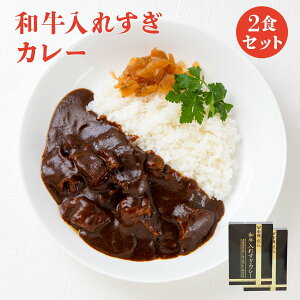 【メール便 / 送料無料】牛長秘伝 和牛入れすぎカレー 2個セット 祭のおかずや 230g