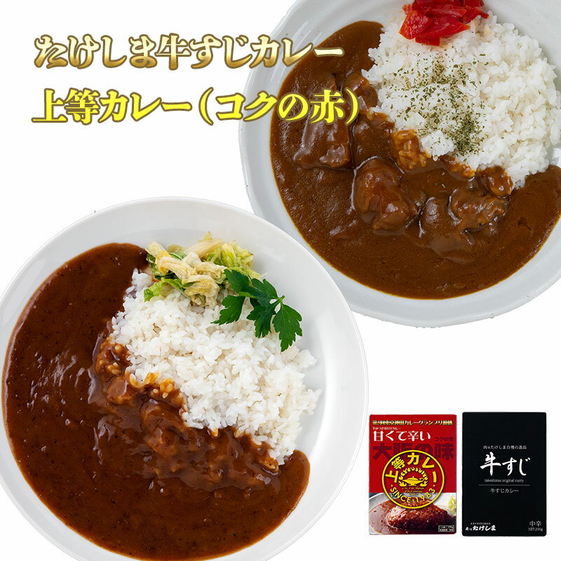 たけしま 牛すじカレー・上等カレー2個セット 祭のおかずや グルメ