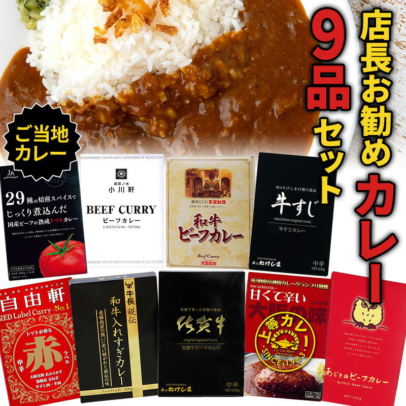 店長お勧めカレー9品セット 祭のおかずや 詰め合わせ 贈り物 ギフト グルメ 食品 常温 保存 高級 ご当地 牛すじ 佐賀牛 カレー