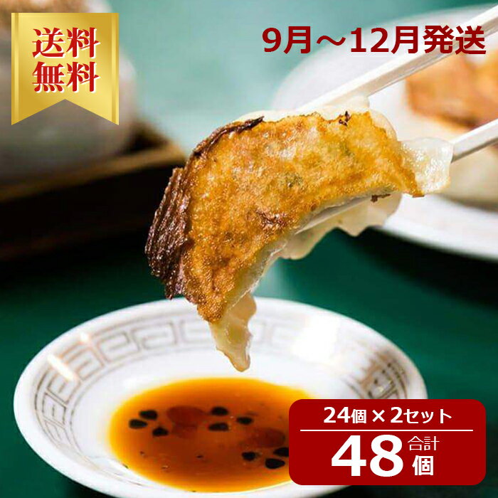 【送料無料】おけ以の餃子　48個　(24個入2箱セット)　 餃子の店 2021 ビブグルマン 冷凍 生餃子 贈答用 お取り寄せ マツコ 有吉 かりそめ テレビ朝日　ノンストップ 　 フジテレビ ぎょうざ グルメ ギフト 送料無料