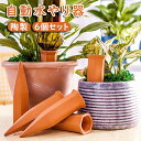 自動給水キャップ 自動水やり器 6個セット 6pcs 陶器 陶製 景観デザイン 自動水やり機 ペットボトル 水やり 挿すだけ 鉢植え プランター使用 ガーデニング用品 野菜 植物 留守用に 楽 自動 観葉 植物 留守中 簡単 プランター