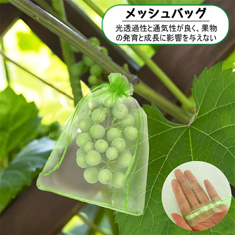 ��ʪ�� �ݸ�ͥå� ���� �ͥå� 100���� �̼�����Ļ�ͥå� �������󥸡����� �̵��� ��å��� Ļ�褱�ͥå� ȷ�褱�ͥå� ��ʪ�ݸ�Хå� �̼��� ������ Ļ�褱 ��褱 ���饹�к� ����Ļ�� �� ������ ������ ����ݸ� ���� ����