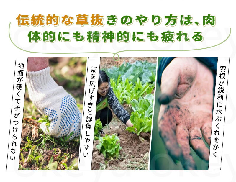 �������ġ��� ���������𥢡��ƥ��ե����� ��ȴ�� �𴢤� �������� ����ġ��� ���� ���� �졼�� 4�ܥ����� 9������ 11�ܥ����� ��Ŭ���� ����ȴ�� ��ȴ������ �����༣ ��Ȥ� �ܻ�����ġ��� Ķ���� �����к�