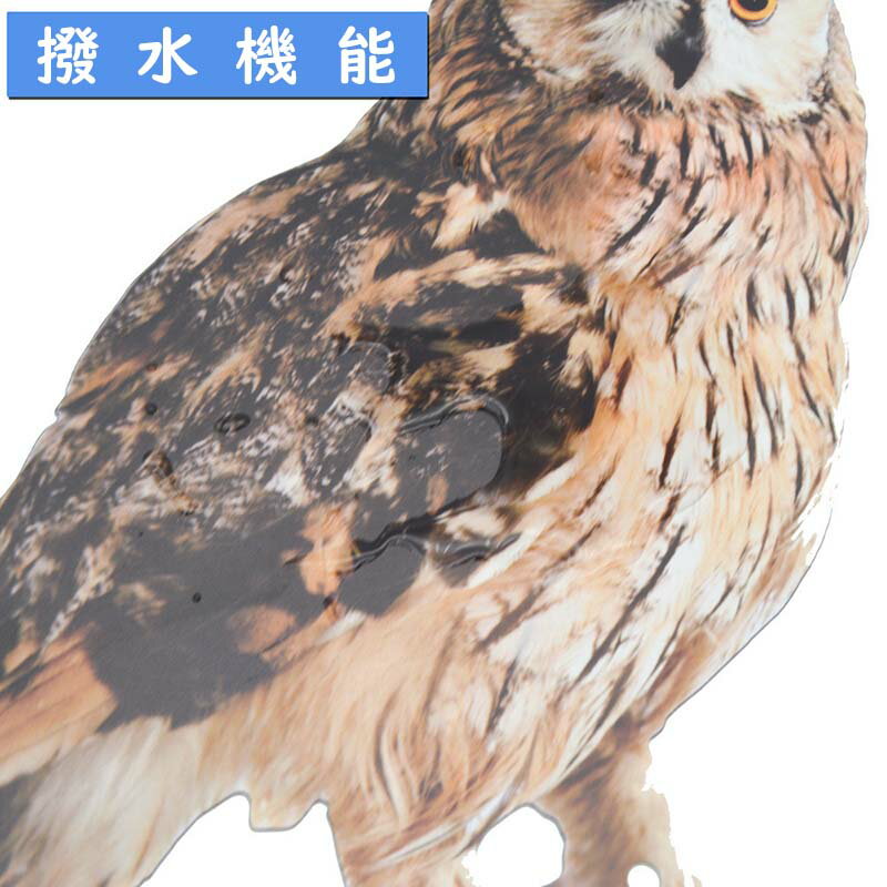 Ļ�褱 �亮��Ļ�褱 �ե�������Ļ�褱 Ļ�褱�ե����� Ļ�򤱥��å� ���դ� Ļ�褱 ��Ļ�ɽ��к� ȷ�褱 �٥���Ļ�褱 �̼��� ����ʪ�ﳲ �ĥХ�褱 ������ ���Ӥ����� �ɿ� �����ڱ��� ���� ���饹