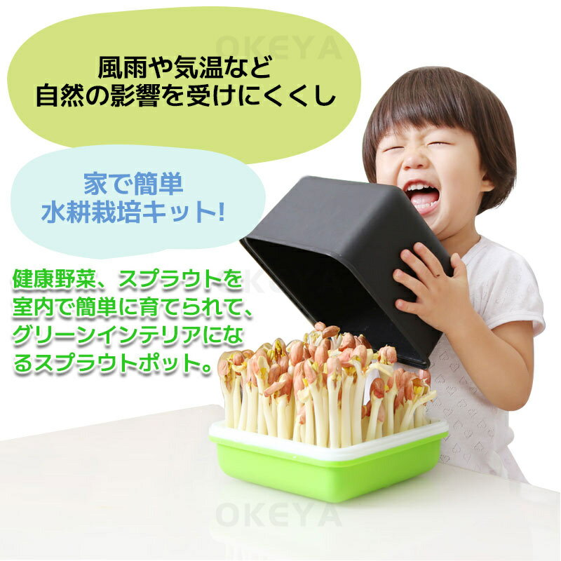 スプラウト 栽培キット 育苗ポット もやし栽培 育苗トレイ ピーナッツ水耕栽培ボッ...