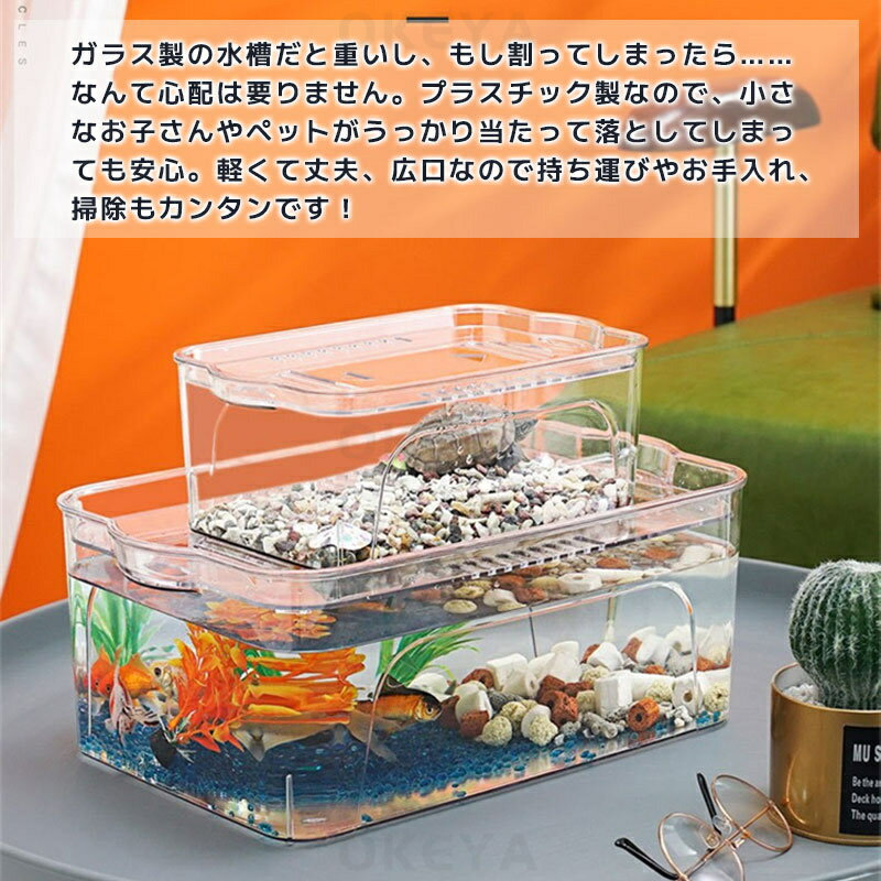 ������ ���ȭ �ץ饹���å� ������� Ʃ�� ������ �������ꥦ�� ���դ� ������� ��������� �����ȭ ��̺��� ��ʪ���� ����������ƴ� �緿 ��� ���� ������� ���� ���� ����� �ƴ� �ܥ��� �ơ��֥� �� ���տ�ʪ ����ƥꥢ ���������ȭ