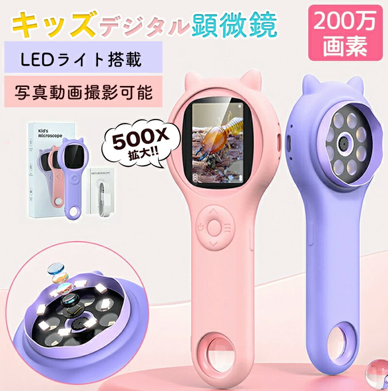 Ҷ ǥ븲  Ҷ ϥɥإɸ 2IPS꡼ 500X 200ԥ 1920x1080p ʳش...