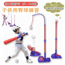 野球おもちゃセット 子供用野球練習 ピッチングマシーン キッズ野球セット ボール6個付き バッティング練習 スポーツゲームおもちゃ 体幹トレーニング トレーニン...