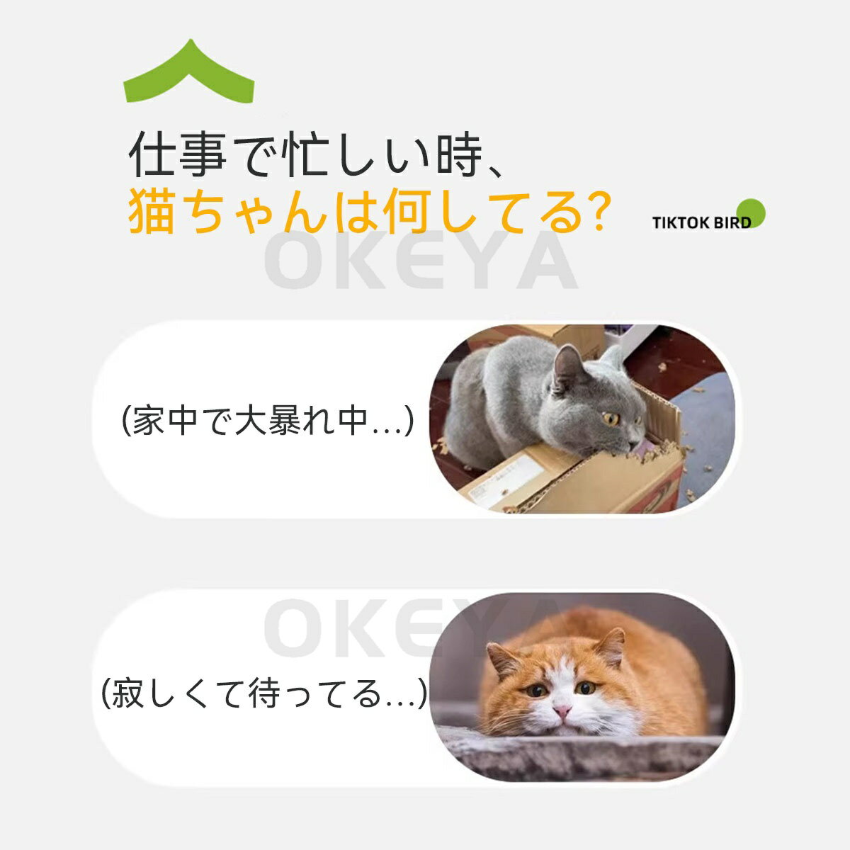 猫おもちゃ 電動おもちゃ 羽ばたく鳥 羽ばたく鳥 電動 3種類 タッチセンサー 3モード切り替え リアルな鳴き声 USB充電式 布カバー洗濯可能 吊り輪付き インテリアにも 猫の狩猟本能を刺激 安心安全設計 2