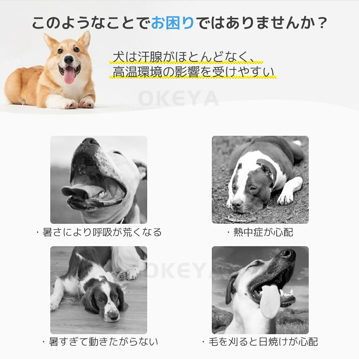 犬 クールネック 暑さ対策 2025年モデル 犬用ウェア お散歩用 首 ひんやりポンチョ...